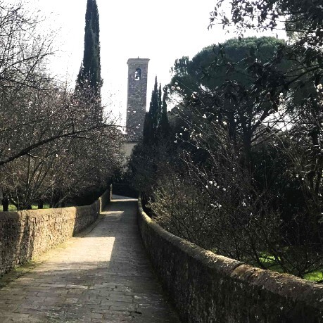 Inaspettata Bellezza