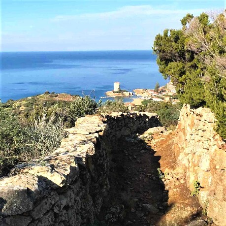 L'isola che...cè!