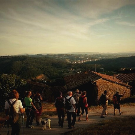 La lucciolata di Artimino