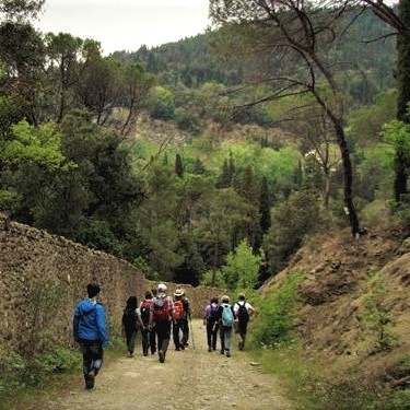 La Via degli Scalpellini