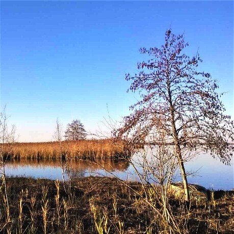 La Via delle Sughere