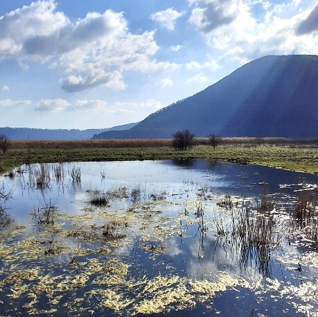 La Riserva naturale del Lago di Vico